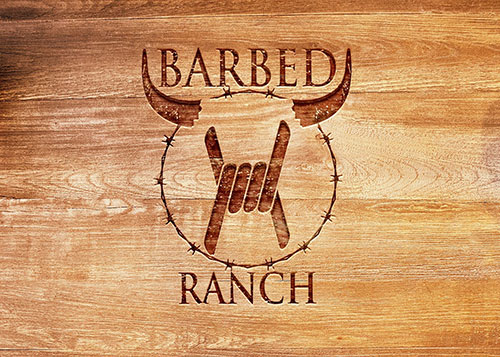 Barbed Ranch-logo-Dizajn-