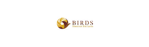 Birds-logo-Dizajn-
