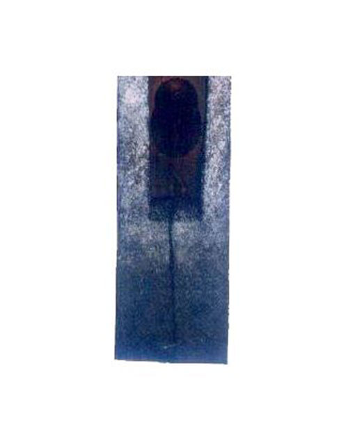 Govor-tisine-1995-10-Ulje na platnu-50x140